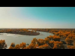 Costruzione della Lega Giovanile dello Xinjiang